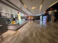 -嘉华国际影城(学清路店)