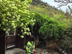 -看见远方·莫干遥远的山民宿
