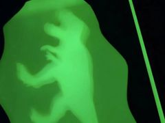 -神奇科学家STEAM科学实验科创赛事机器人编程逻辑思维MadScience(长宁来福士校区)