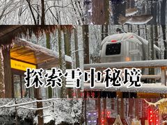 -波尔登森林公园