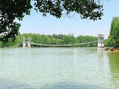-东湖落雁景区