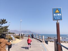 -石老人观光园