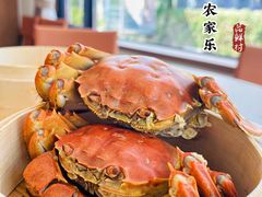-品鲜村农家菜·阳澄湖大闸蟹(总店)