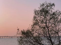 -宝安西湾红树林湿地公园