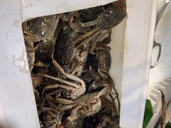 -御品海宴海鲜自助餐厅(龙岗万科广场店)