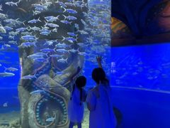 -波塞冬旅游度假区