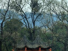 -武侯墓风景区
