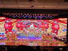 -南风大剧院莎梦二人转剧场