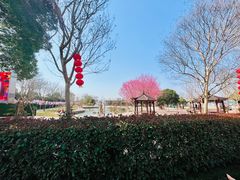 -武汉紫薇都市田园