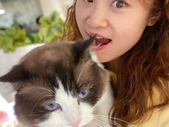 -喵喵咪呀布偶猫咖(春熙路店)