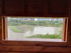 -华侨城湿地公园