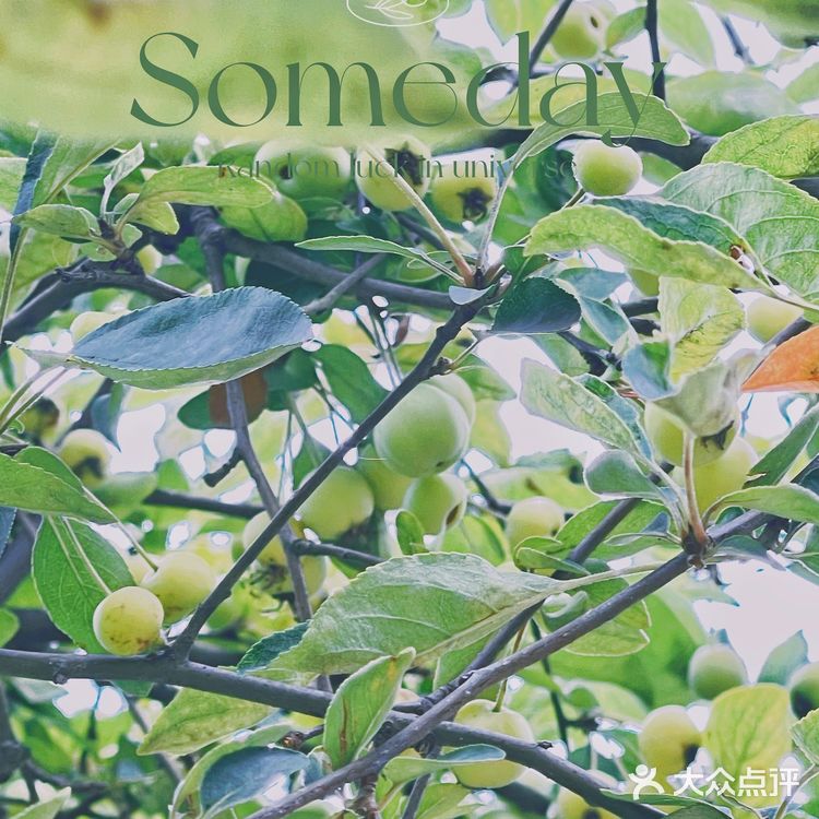 成都|遛娃|拍照📷|约会还不知道去哪吗？塔子山⛲️公园