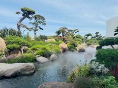 -罗红摄影艺术馆