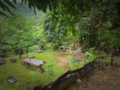 -梧桐山风景名胜区