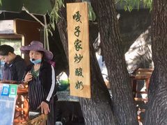 -白洋淀景区