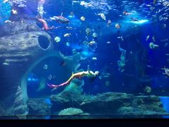 -多彩贵州城极地海洋世界