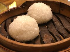 茨毛圆子-双塔老饭店