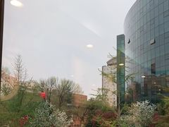 -金豆角砂锅焖面(安贞店)