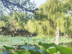 -北陵公园