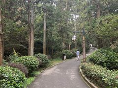 -冶父山国家森林公园
