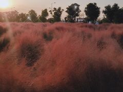 -映月湖中央公园