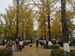 -百林公园-两江幸福广场