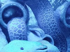 -太平洋海底世界