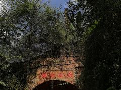 -赤水丹霞旅游区·佛光岩