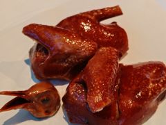 -醉辉皇原味海鲜江南菜(成都大魔方店)