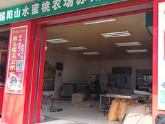 -阿男野栗王(金门路店)