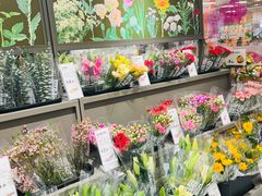 -鹿岛生活(熙地港店)