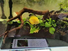 -山东省科技馆(新馆)