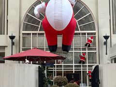 -茉里乐章(花园店)