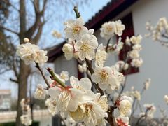 -南通博物苑-崇川人民公园