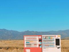 -野鸭湖国家湿地公园