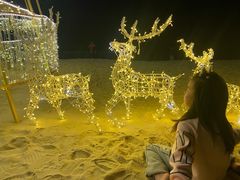 -海南清水湾莱佛士酒店