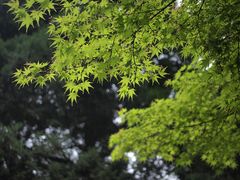 -陕西师范大学(雁塔校区)
