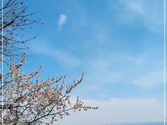 -香山公园