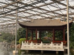 -九天休闲谷