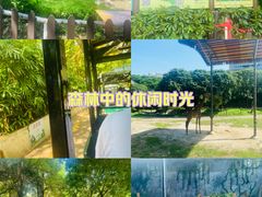-深圳野生动物园