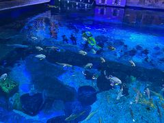 -华夏文旅西安度假区