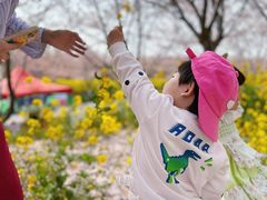 -古柏渡飞黄旅游区