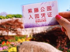 -嘉定紫藤园