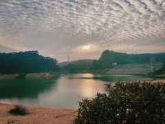 -东莞市大岭山森林公园