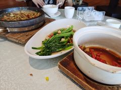 白灼菜心-阿斯牛牛·凉山菜(新会展店)