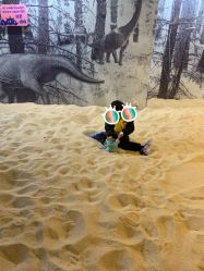 -恐龙探索乐园(磁器口店)