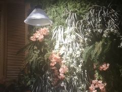 -南城十里潮汕鲜牛火锅·鲜虾生滚粥(融汇老商埠店)