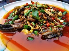 -代木儿回锅肉