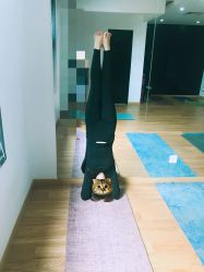 -Just Yoga 瑜伽·阿育吠陀
