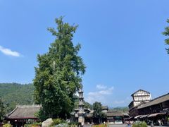 -崇州市街子古镇